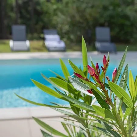 Piscine Chauffée 10pers Dans Cadre Exceptionnel-ag19 Villa *