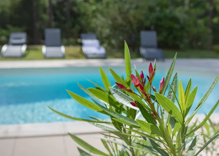 Piscine Chauffée 10pers Dans Cadre Exceptionnel-ag19 Villa *